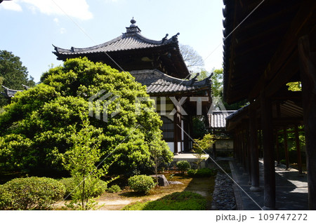 鹿王院の「舎利殿(左)」･「客殿(右)」（京都市右京区嵯峨北堀町） 109747272