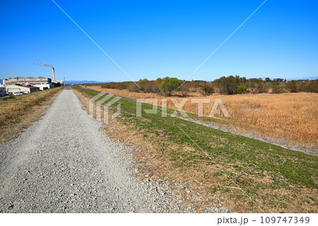 川越東清掃センー付近の風景　入間川土手からの眺め　川越市　 109747349