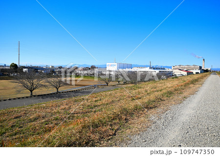川越東清掃センー付近の風景　入間川土手からの眺め　川越市　 109747350