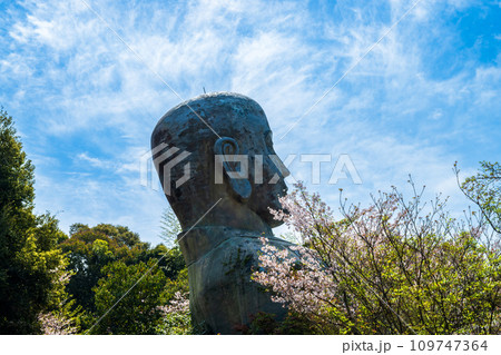 絶景観光スポットおびんずる像 遊歩道から観える桜の木 日輪寺(山鹿市) 絶景観光スポットおびんずる像 遊歩道から観える桜の木 日輪寺(山鹿市) 109747364