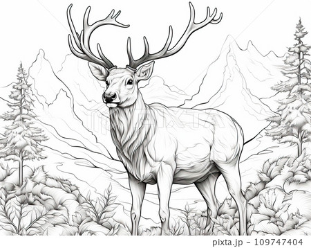 Deer with antlers, coloring book. Black and white illustration of an animal in its natural environment. Sketch of a deer with antlers on a background of mountains. Deer with antlers, coloring book. Black and white illustration of an animal in its natural environment. Sketch of a deer with antlers on a background of mountains. 109747404
