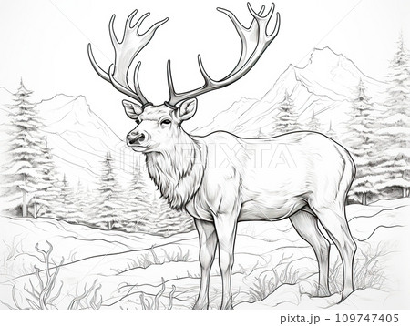 Sketch of a deer in the forest on a white background. Reindeer coloring page. 109747405