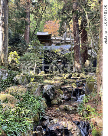 大雄山最乗寺 神奈川県南足柄市 大雄山最乗寺 神奈川県南足柄市 109748550