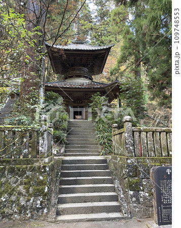 大雄山最乗寺 神奈川県南足柄市 大雄山最乗寺 神奈川県南足柄市 109748553