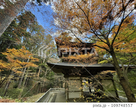 大雄山最乗寺　神奈川県南足柄市　秋　紅葉 109748557