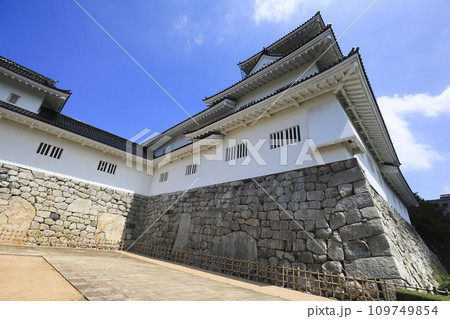 富山　富山城 喰違虎口から見上げる天守 109749854