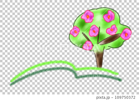 広がる草原と花を咲かせた木 109750372