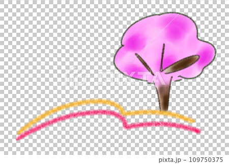 Spreading grassland and cherry blossom trees 109750375