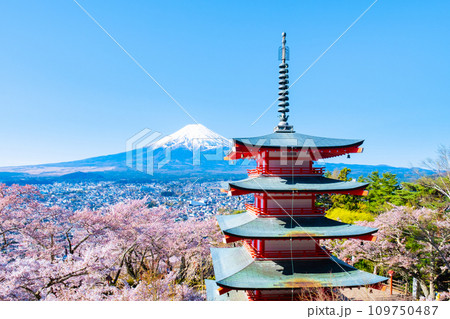 新倉山浅間公園（春） 109750487