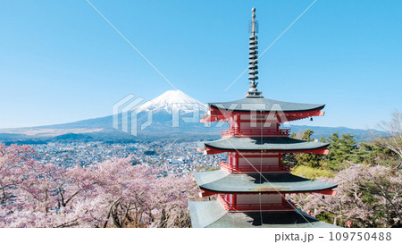 新倉山浅間公園（春） 109750488