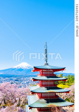 新倉山浅間公園（春） 109750491