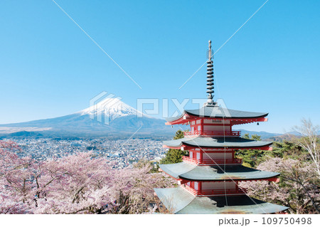 新倉山浅間公園（春） 109750498