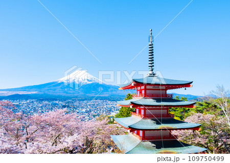 新倉山浅間公園(春) 新倉山浅間公園(春) 109750499