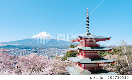 新倉山浅間公園(春) 新倉山浅間公園(春) 109750530