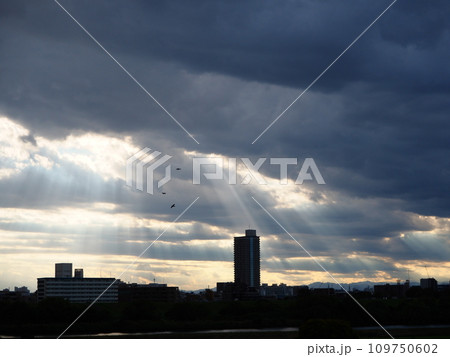 雲の隙間から差し込む陽光 109750602