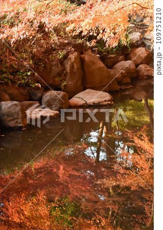 水面に映った紅葉 109751210