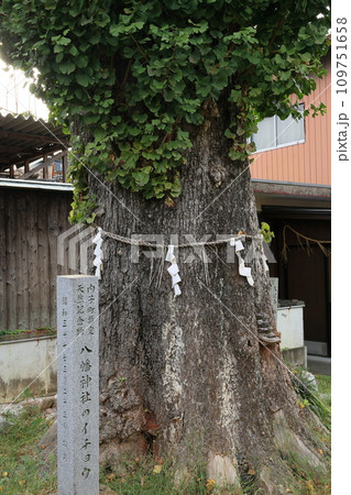 レトロな町並みが残る愛媛県内子町@八幡神社 レトロな町並みが残る愛媛県内子町@八幡神社 109751658