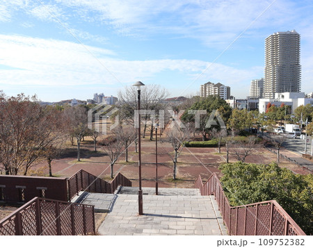 12月の西神中央公園　神戸市　西区　公園 109752382