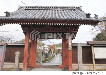 神奈川県横浜市金沢区称名寺・称名寺の冬 109752463