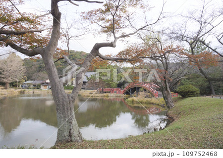 神奈川県横浜市金沢区称名寺・称名寺の冬 神奈川県横浜市金沢区称名寺・称名寺の冬 109752468