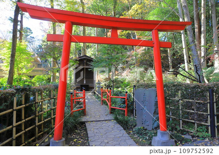 真姿の池湧水群（ますがたのいけゆうすいぐん） 鳥居 109752592