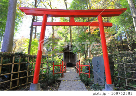 真姿の池湧水群（ますがたのいけゆうすいぐん） 鳥居 109752593