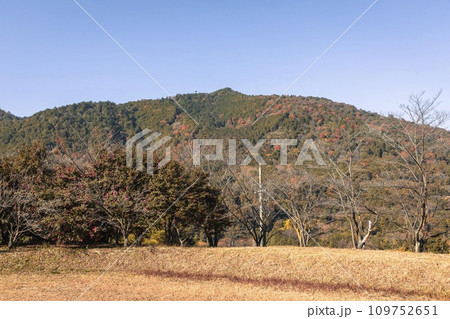 桑名市、多度大社付近から眺める多度山 桑名市、多度大社付近から眺める多度山 109752651