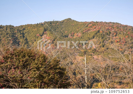 桑名市、多度大社付近から眺める多度山 桑名市、多度大社付近から眺める多度山 109752653