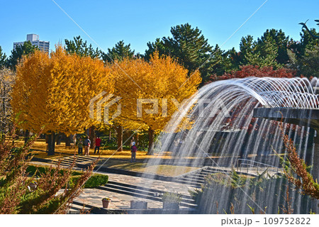 秋色の風景　噴水と黄葉 109752822