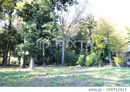 真姿の池湧水群(ますがたのいけゆうすいぐん)のある地域 真姿の池湧水群(ますがたのいけゆうすいぐん)のある地域 109752823