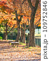 紅葉の季節 109752846