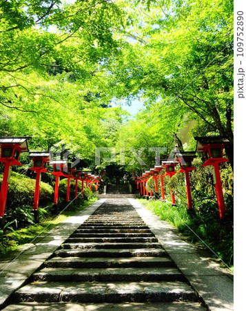 【日本】朱色の灯籠が並ぶ、鞍馬寺の参道(京都) 【日本】朱色の灯籠が並ぶ、鞍馬寺の参道(京都) 109752890