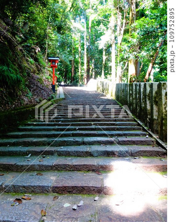 【日本】鞍馬山の参道の石段(京都) 【日本】鞍馬山の参道の石段(京都) 109752895