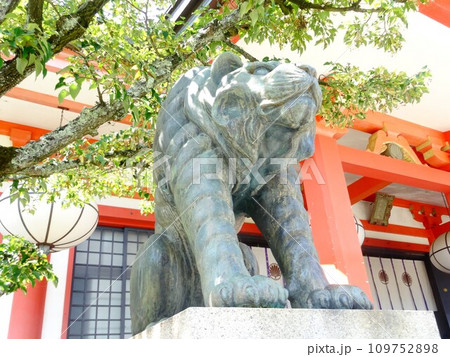 【日本】鞍馬寺の本殿金堂の横に設置された阿吽の虎の像（京都） 109752898