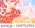 紅葉の季節 109752954