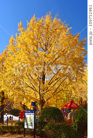 秋色の風景 秋色の風景 109752961