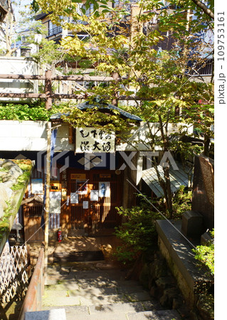 湯田中・渋温泉郷の町並み　渋大湯 109753161