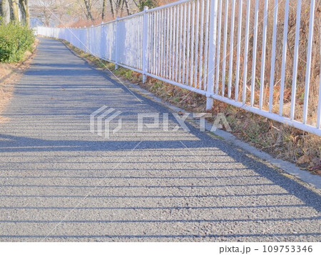 初春のさわやかな歩道 初春のさわやかな歩道 109753346