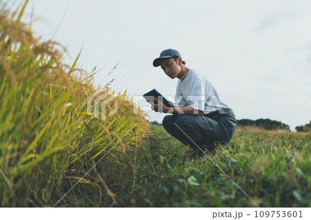 rice farming 109753601