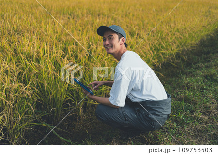 rice farming rice farming 109753603