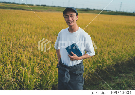 rice farming rice farming 109753604