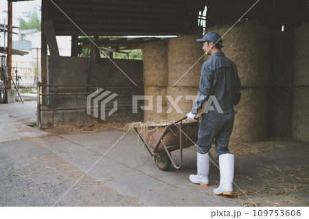 ranch 109753606