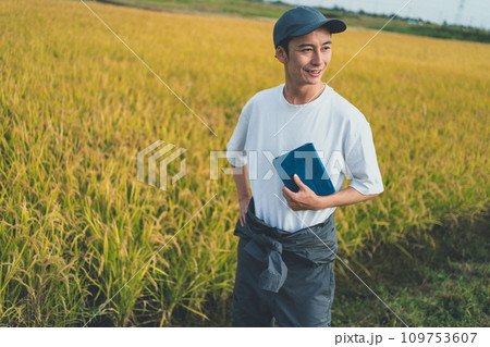 rice farming rice farming 109753607
