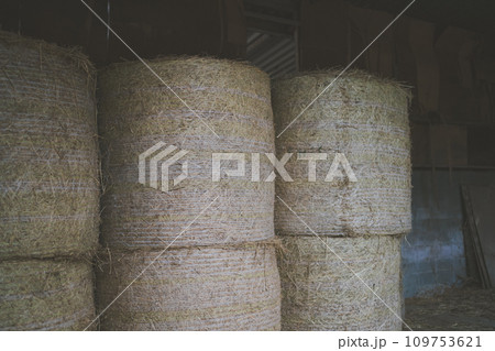 ranch ranch 109753621