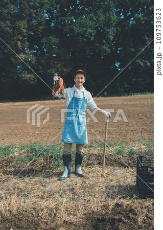 vegetable field vegetable field 109753623