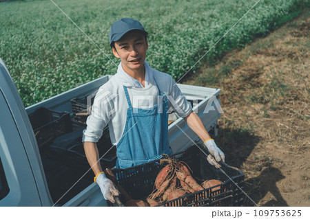vegetable field vegetable field 109753625