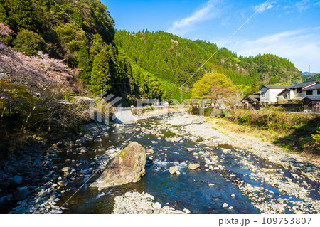 日向神の千本桜の周辺風景 日向ダム(八女市矢部村) 日向神の千本桜の周辺風景 日向ダム(八女市矢部村) 109753807