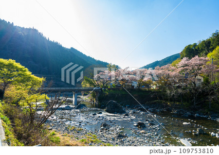 日向神の千本桜の周辺風景 日向ダム(八女市矢部村) 日向神の千本桜の周辺風景 日向ダム(八女市矢部村) 109753810