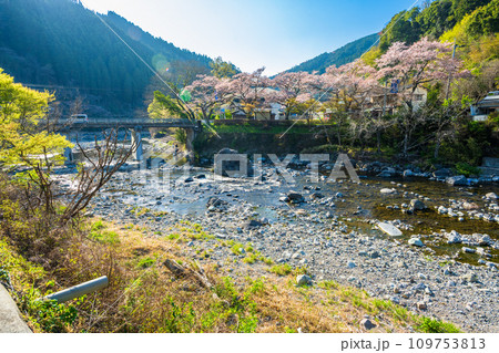 日向神の千本桜の周辺風景 日向ダム(八女市矢部村) 日向神の千本桜の周辺風景 日向ダム(八女市矢部村) 109753813