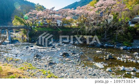 日向神の千本桜の周辺風景 日向ダム(八女市矢部村) 日向神の千本桜の周辺風景 日向ダム(八女市矢部村) 109753814